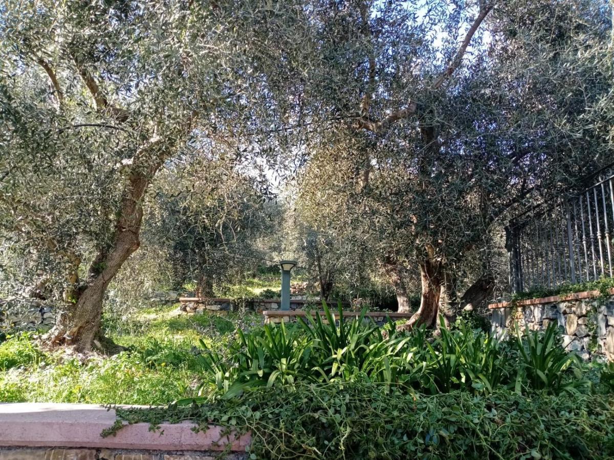 Appartement Agrisport Ca Di Cuni à Roncagli Extérieur photo