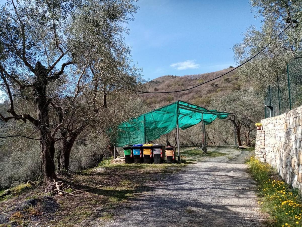 Appartement Agrisport Ca Di Cuni à Roncagli Extérieur photo